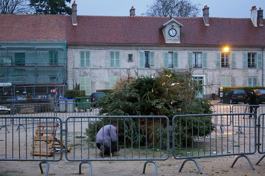 Sapins Galette et cidre: feu de joie sapins 016